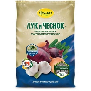 Чеснок и лук