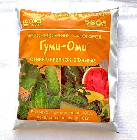 ГУМИ-ОМИ / Огурец-кабачок-бахчевые