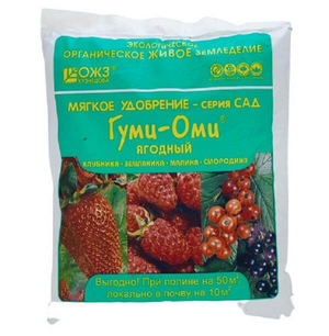 ГУМИ-ОМИ / Ягодный