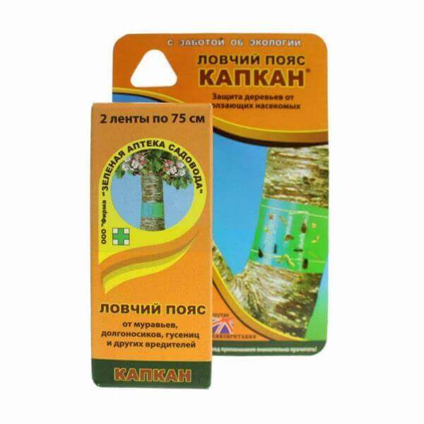 Капкан ловчий пояс