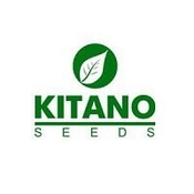Лого Китано