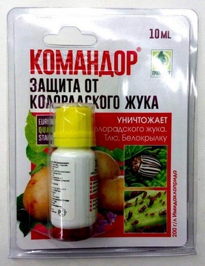 Командор