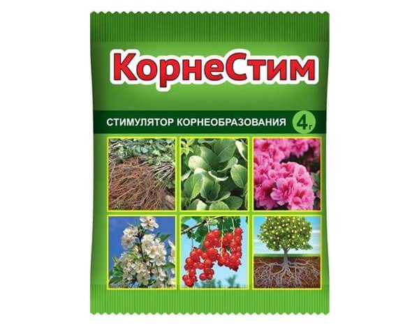 Стимуляторы и протровители КорнеСтим