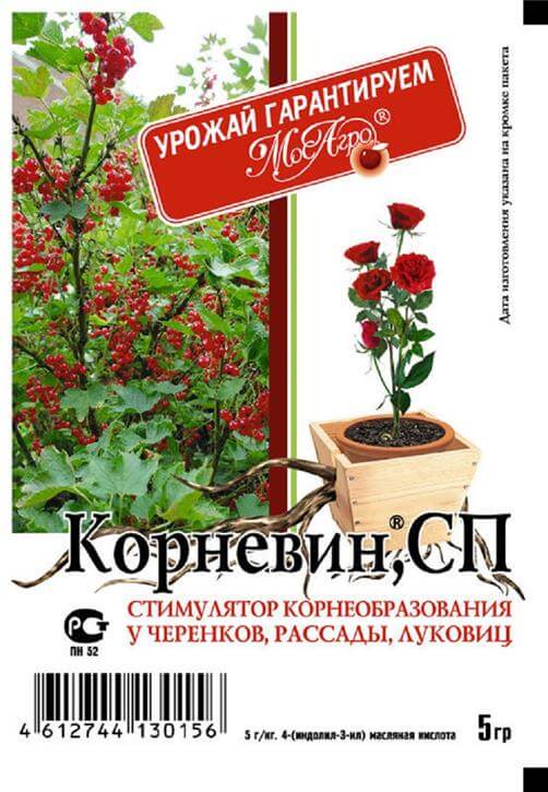 Стимуляторы и протровители Корневин