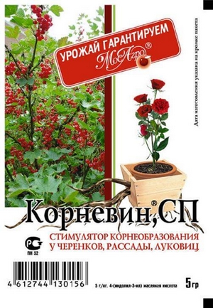Стимуляторы и протровители Корневин
