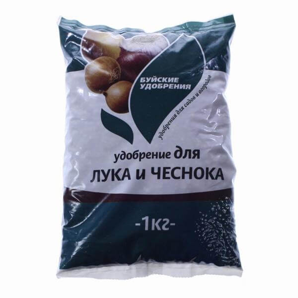 Лук и чеснок