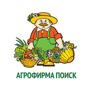 Лого Поиск