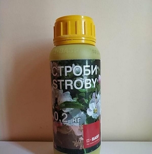 Строби 10 гр