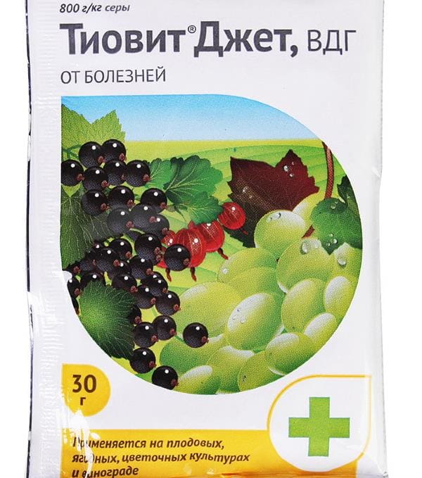 Тиовид-джет